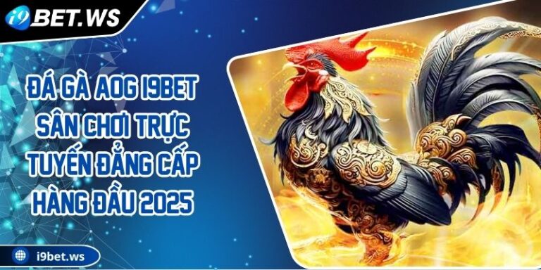 Đá Gà AOG I9BET Sân Chơi Trực Tuyến Đẳng Cấp Hàng Đầu 2025 4 Đá Gà AOG I9BET Sân Chơi Trực Tuyến Đẳng Cấp Hàng Đầu 2025