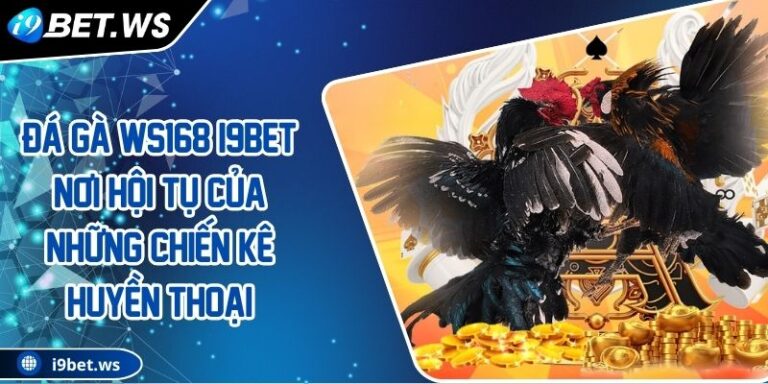 Đá Gà WS168 I9BET Nơi Hội Tụ Của Những Chiến Kê Huyền Thoại 3 Đá Gà WS168 I9BET Nơi Hội Tụ Của Những Chiến Kê Huyền Thoại