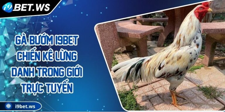 Gà bướm I9BET Chiến kê lừng danh trong giới trực tuyến 2 Gà bướm I9BET Chiến kê lừng danh trong giới trực tuyến